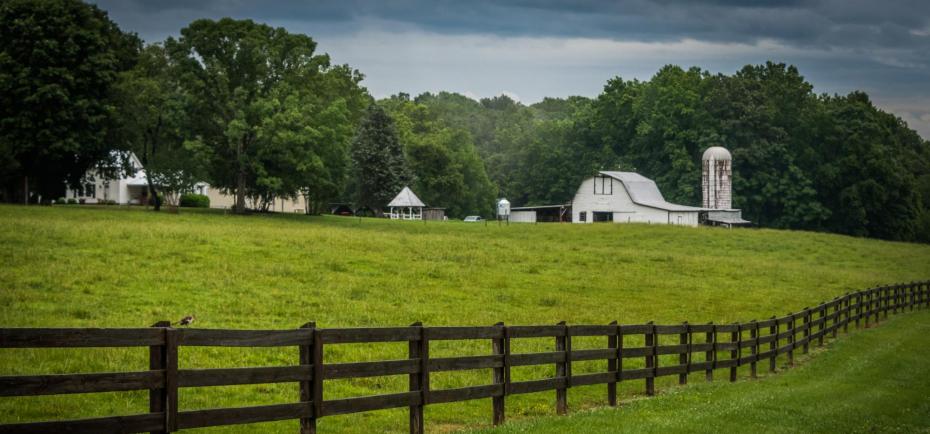 Farm_Umbrella_Fortify