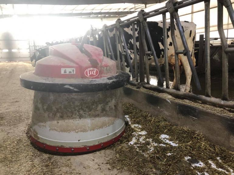 A round red-and-gray robotic cleaner makes its way down a lane at Beavers Dairy, brushing spilled feed back into reach.