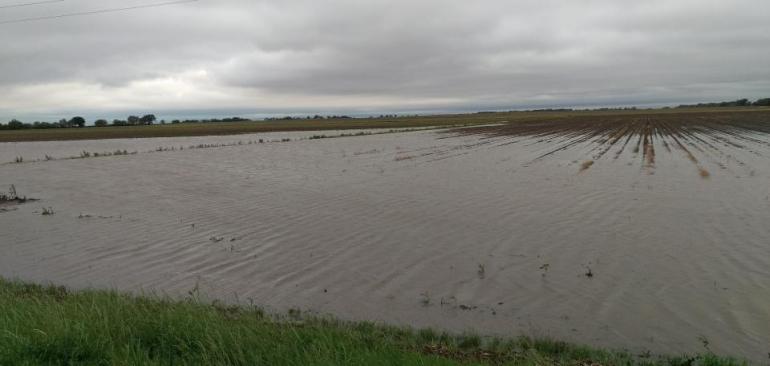 A newly planted field is hidden under floodwaters and a moody gray sky