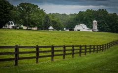 Farm_Umbrella_Fortify