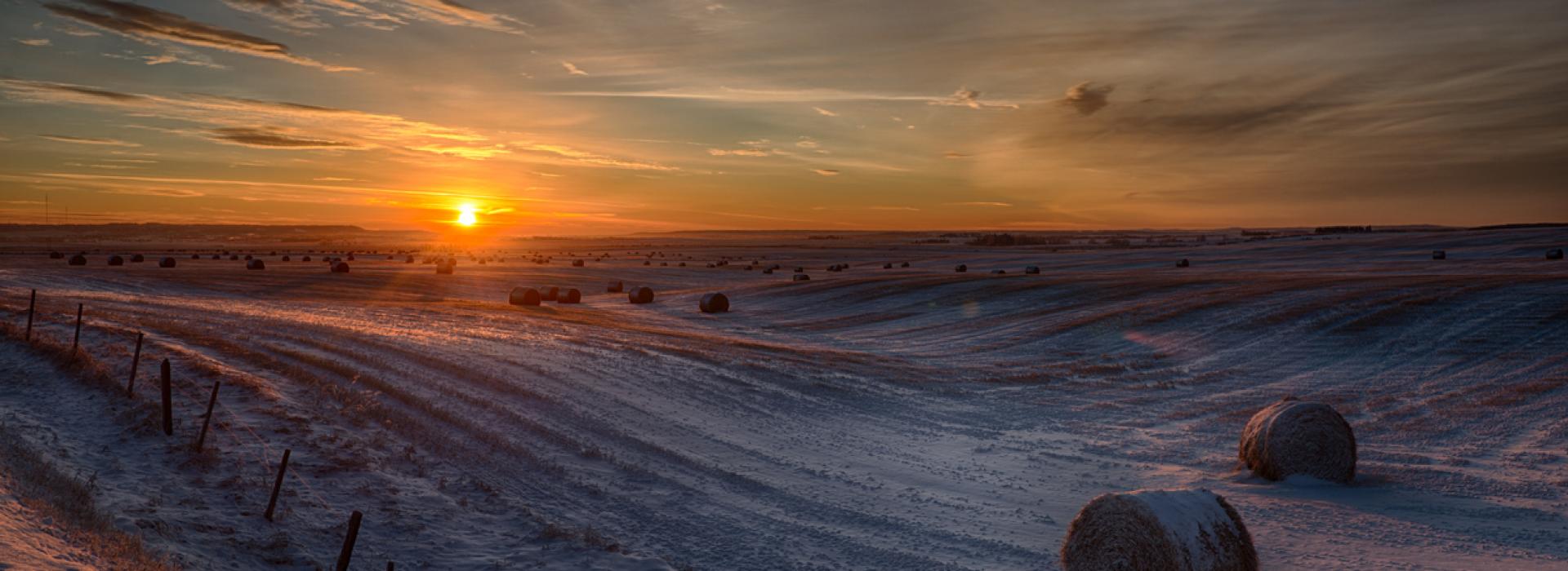The sun sets on farm field in mid-winter. A skiff of snow covers the ground and the round hay bales that dot the scene.