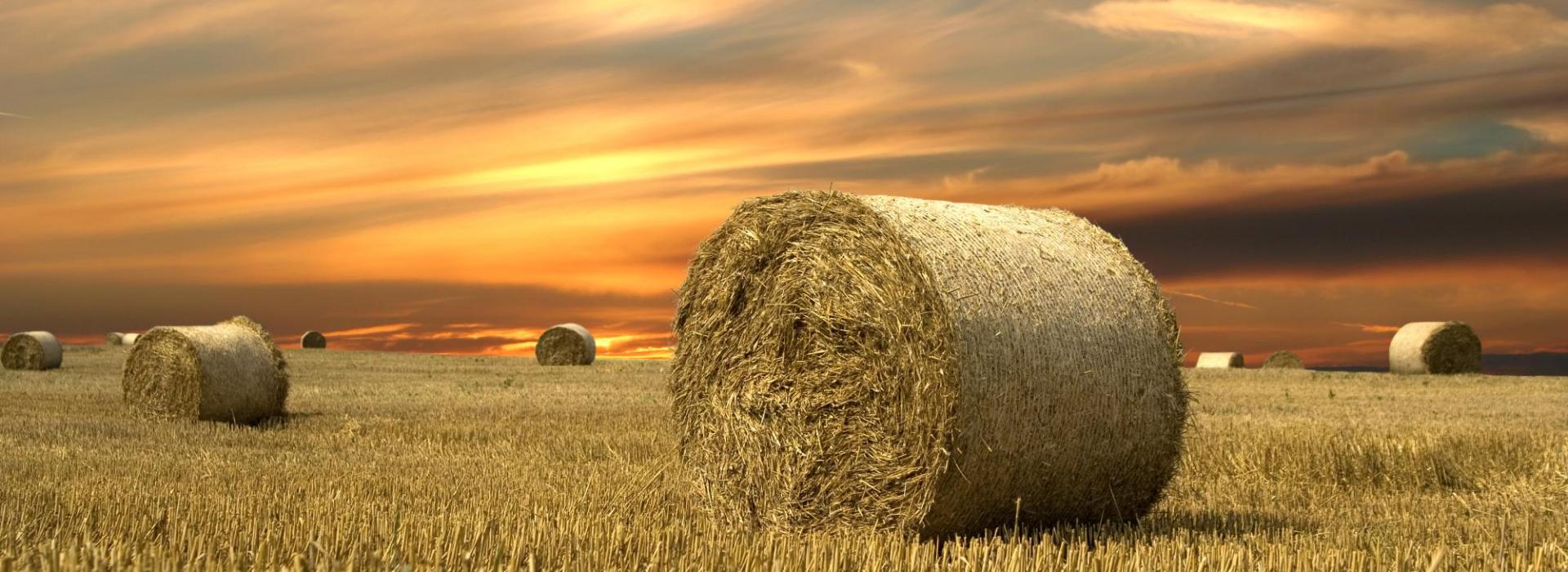 Haybales and Fall Sunset