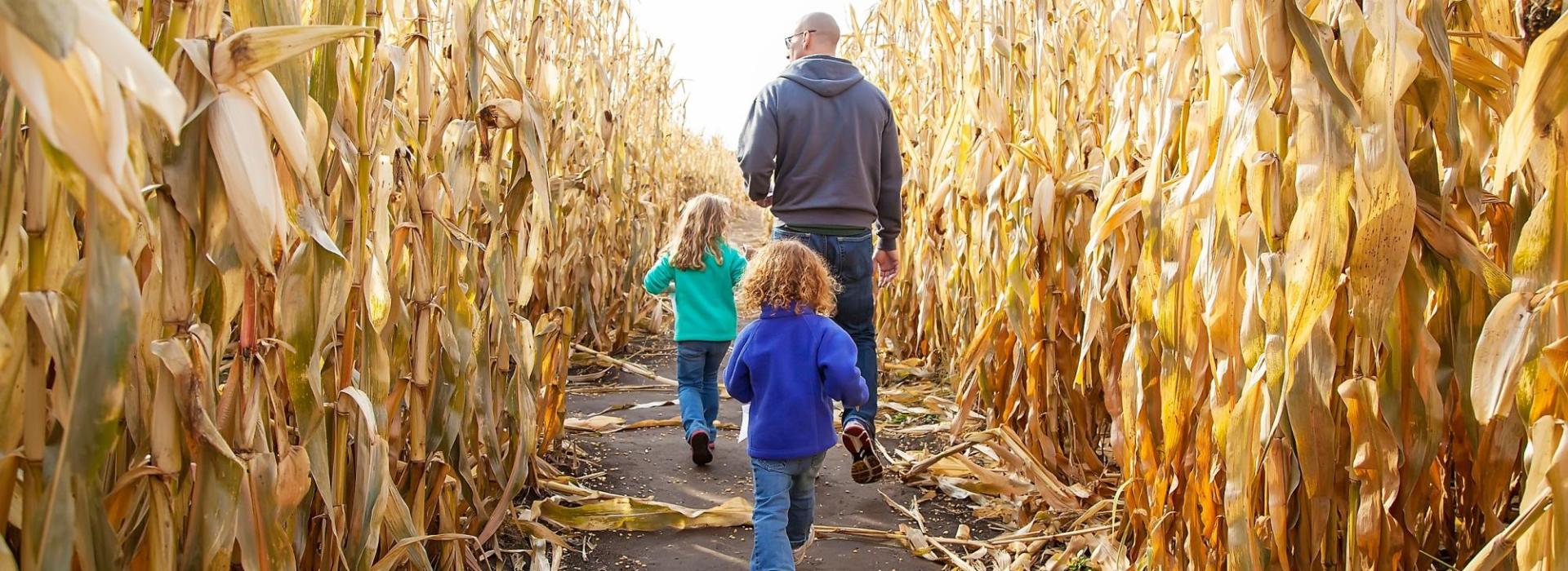 Dad and daughters in Corn Field