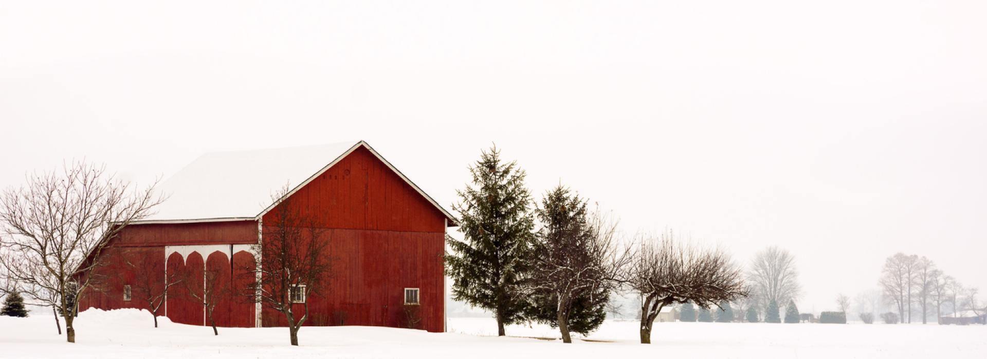 Snowy Barn