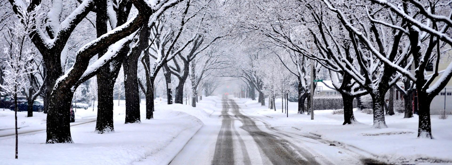 Snowy Residential street